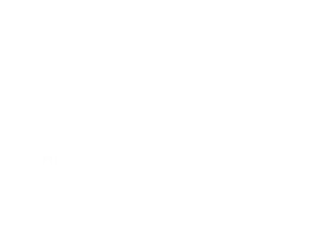 Endlichhofer Diehl Aviation